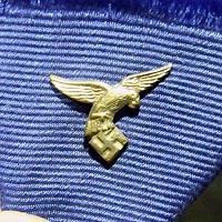 Aguila "Luftwaffe" Medalla 4 años