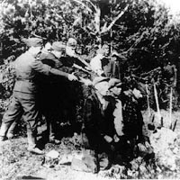 Asesinatos por los Einsatzgruppen